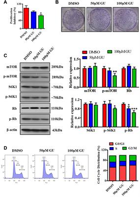 Celastrol-regulated gut microbiota and bile acid metabolism alleviate hepatocellular carcinoma proliferation by regulating the interaction between FXR and RXRα in vivo and in vitro